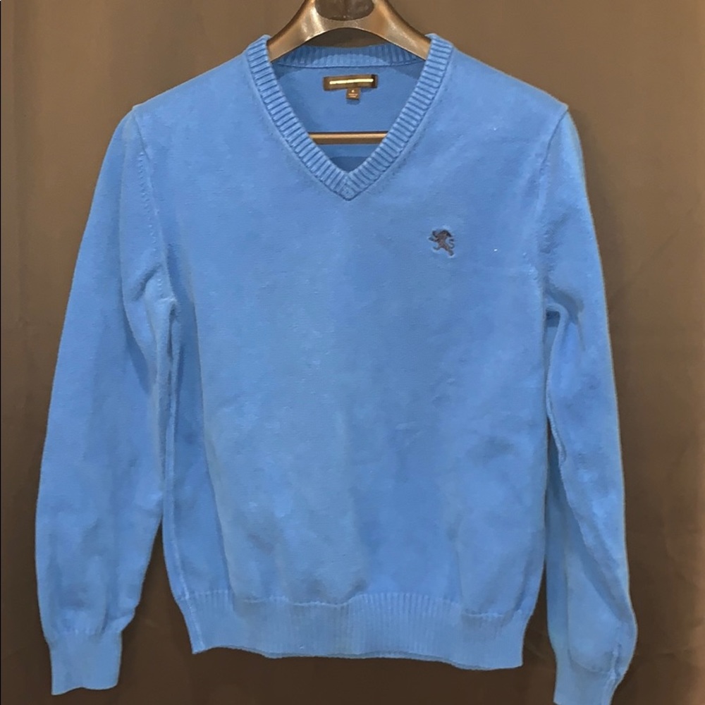 Express Thick Bright Blue Sweater